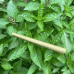 Green Hemp Cones - Pack of 50 - Image 4