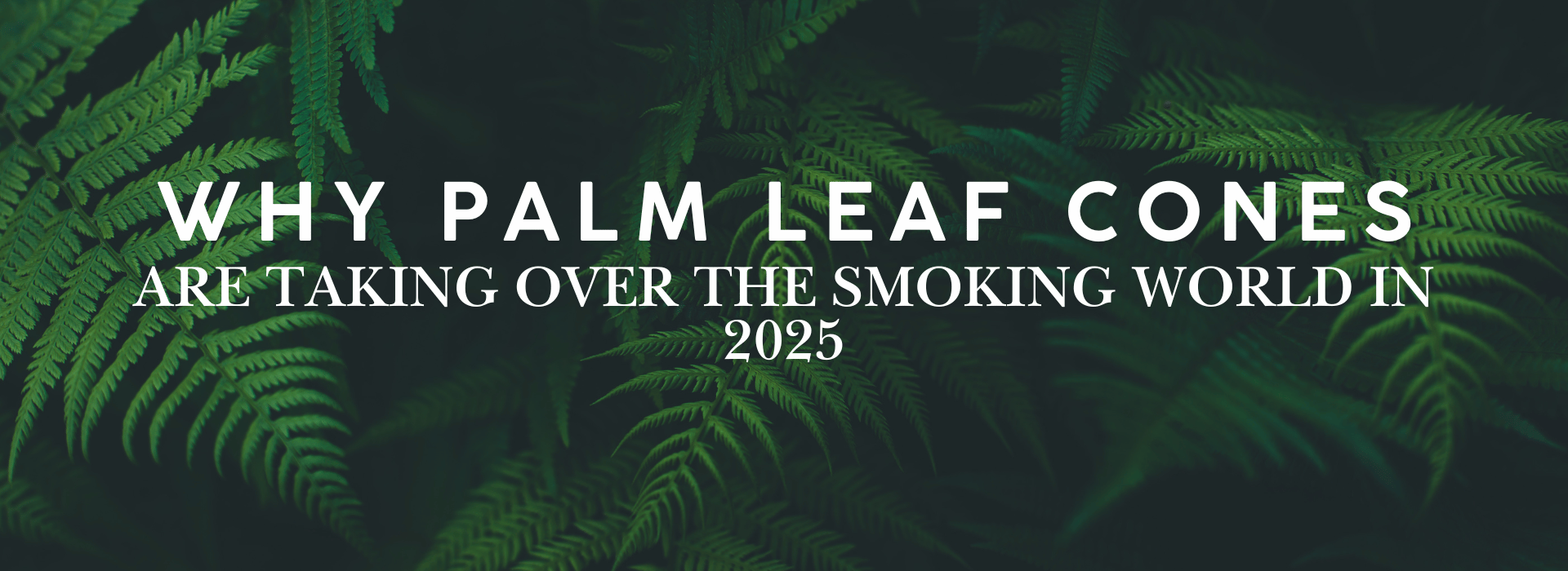 Premium palm leaf pre-roll cone with corn husk filter, eco-friendly and handcrafted in India for smooth smoking