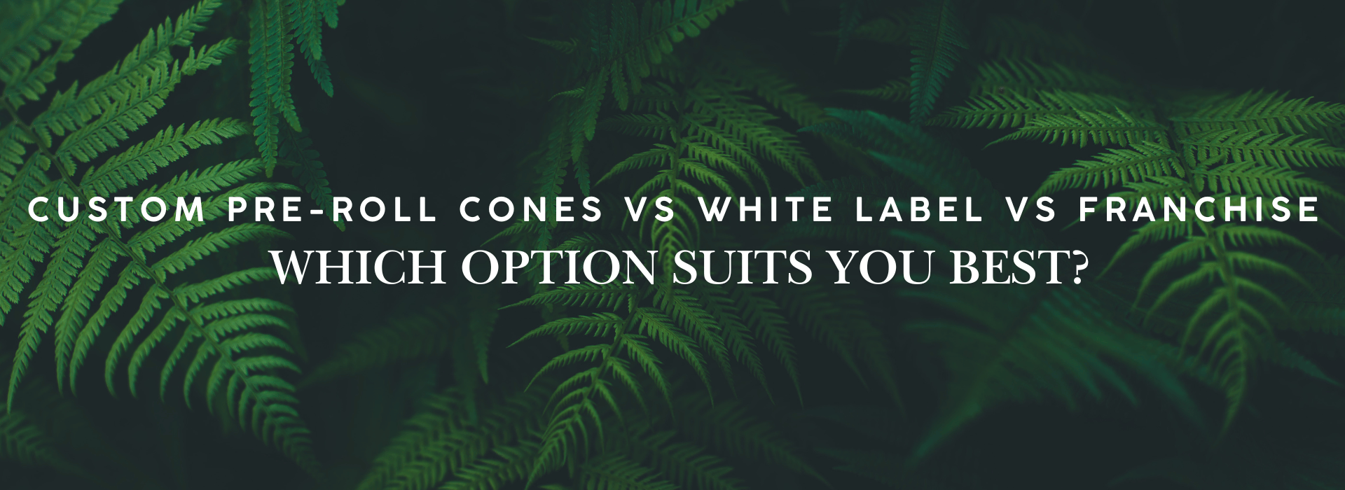Comparison banner showing custom pre-roll cones, white label cones, and Leafy Legend franchise option with branded and unbranded smoking cones.